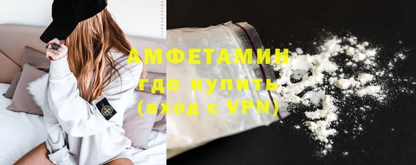 прущие грибы Покров