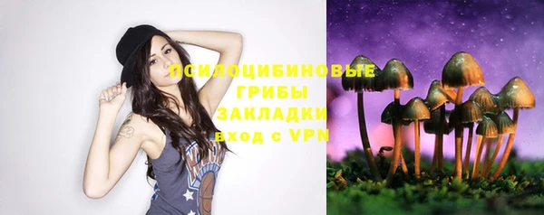 прущие крисы Алексин